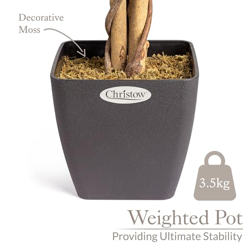 CHRISTOW Artificial Ficus Tree, Fake Weeping Fig House Plant for Home Decoration, Lifelike Green Leaves, Natural Wooden Trunk with Twists, Weighted Pot, Indoor Outdoor (120cm / 4ft) - Image 6