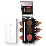 Dermaflage Tattoo Cover Up Makeup, Waterproof Concealer Palette - Dark
