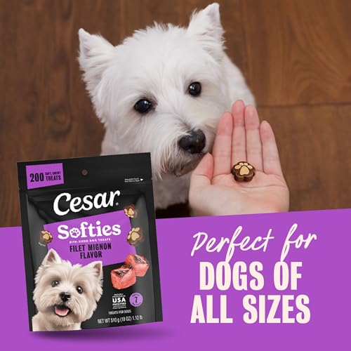 Cesar Softies Filet Mignon Flavor Chewy Soft Dog Treats, 18 oz - image 9
