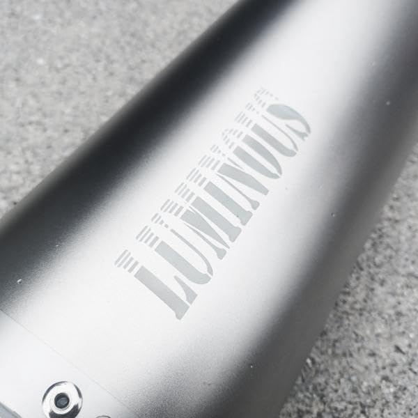 S981] マフラー サイレンサー オーバル 50.8 バッフル ステンレス