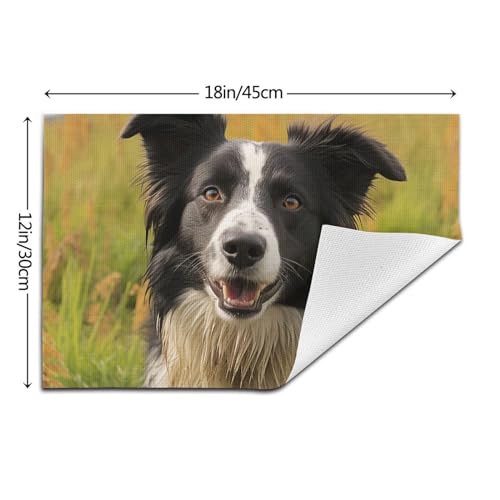 Set de table PVC Border Collie lavable Mohado 30x45cm