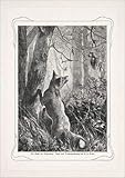 Reproduction d\'art Le Renard am Dohnenstieg Chasse A3 636