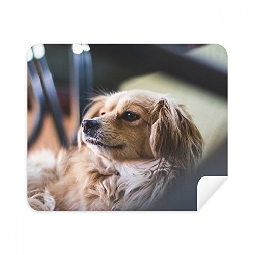 Chiffon de nettoyage pour écran de téléphone et lunettes motif chien 2pcs en daim