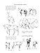 The Art of Animal Drawing: Construction, Action Analysis, Caricature (Dover Art Instruction)