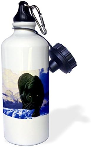 Black Panther Sports Water Bottle Stainless Steel Water Bottle for Women Men Kids