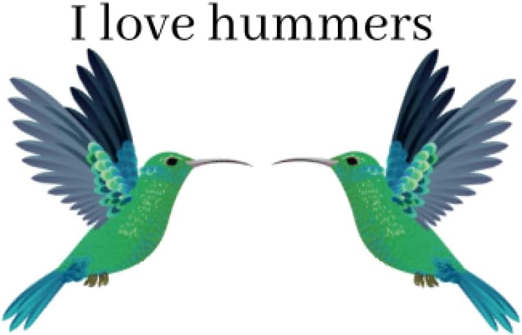 I Love Hummers: A White 6"x9" Blank Lined Notebook