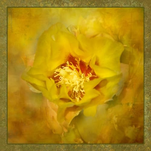Yellow Cactus Bloom Fabric Panel - DCS-012, Panel Size is 20” X 20”, Quality Quilting Cotton