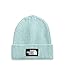 Produktbild THE NORTH FACE TNF Logo Box Cuffed Beanie, Skylight Blue, OS Regular