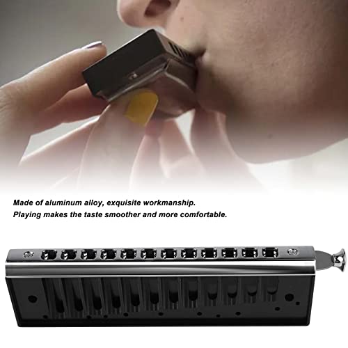 Peigne d’orgue à bouche chromatique, aspect fin résistant à la rouille Peigne Harmonica 12 trous professionnel léger pour débutant - Les Beatles, Paul McCartney, John Lennon, RIngo Starr, George Harrison Peigne d'orgue à bouche chromatique, aspect fin résistant à la rouille Peigne Harmonica 12 trous professionnel léger pour débutant – Image 5