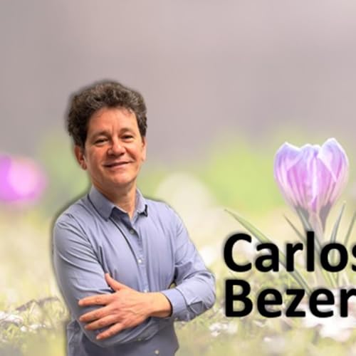 O Livro dos Esp&iacute;ritos - Carlos Bezerra