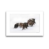 Wasserfest, der Leinwanddruck kann feucht abgewischt werden und ist dadurch auch für Staub-Allergiker geeignet.