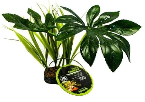 Multi Pet 48593205: Pianta a baldacchino della giungla Komodo, 42 cm