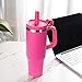 40oz Tumbler, Insulated Stainless Steel Water Bottle with Straw, Cover Cap, Leak Proof Travel Tumbler with Handle, BPA-Free, Cupholder Friendly, Gifts for Women & Men, Passion Pink