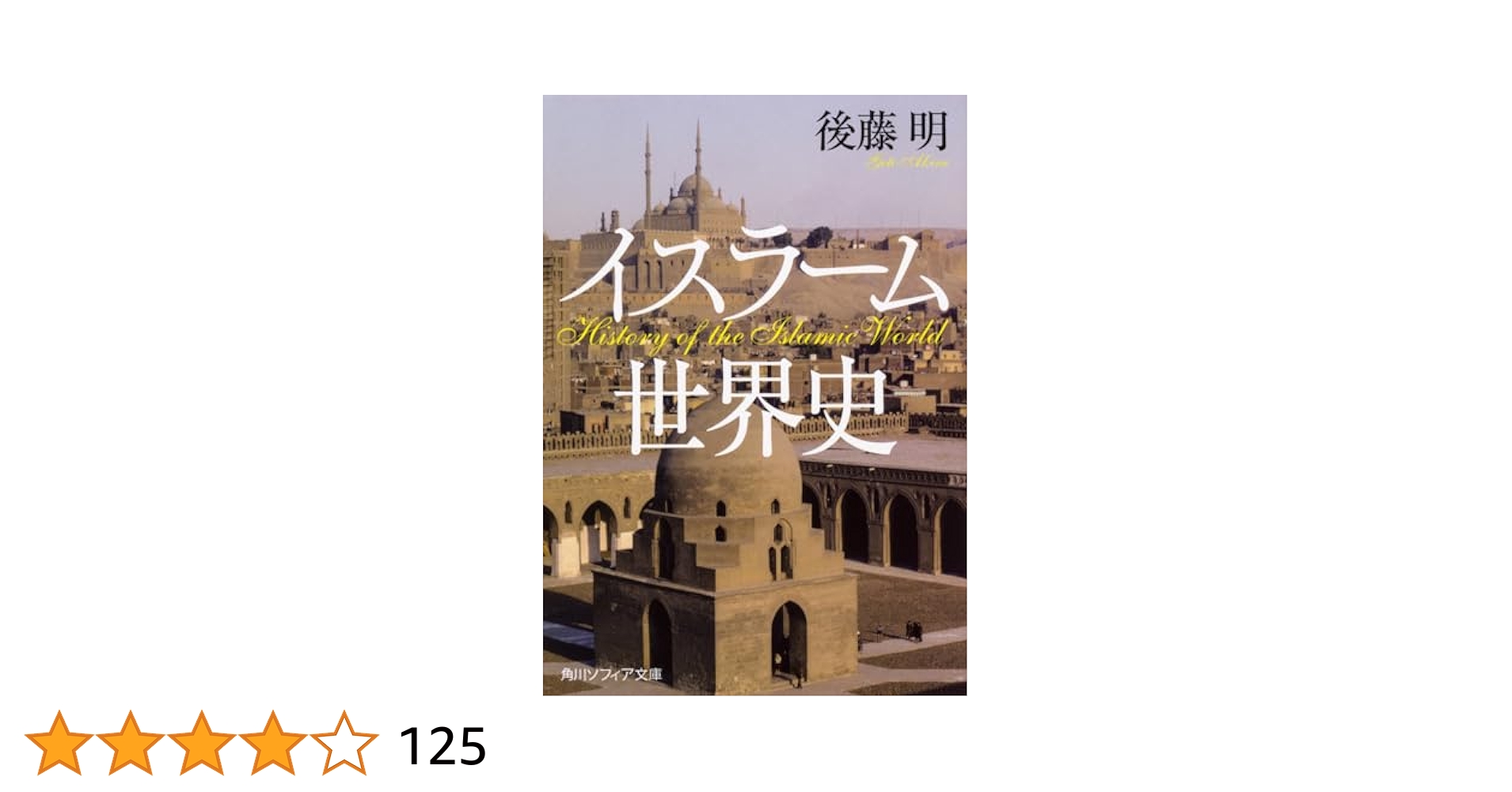 英語　イスラムの歴史と文明 南アジア / 大型本 英語 イスラムの歴史と文明 南アジア / 大型本 西アジア・南
