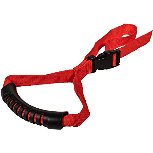 Best Car Door Assist Handles in 2023 Review and Buyer's Guide