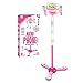 WETCEAOM Karaoke Infantil con pie, con 2pcs Micrófono ,Luces LED para niños (rosa)