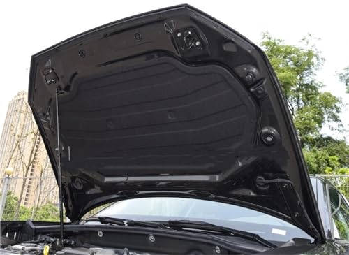 Capot moteur insonorisant en coton premium pour modèles 2018-2025