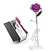 K_LUCKYI 24K Gold Rose with Gift Box is Unique Gift for Valentine's Day Mother's Day Christmas's Day Lover's Birthday with Stand (Purple)