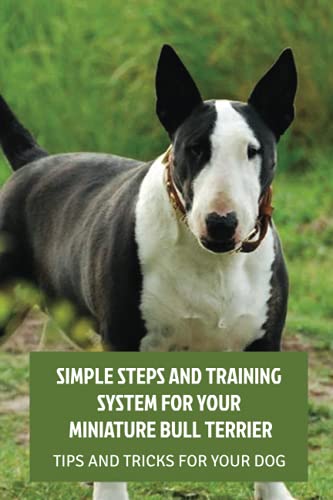  Simple Steps And Training System For Your Miniature Bull Terrier: Tips And Tricks For Your Dog: Training Your Miniature Bull Terrier