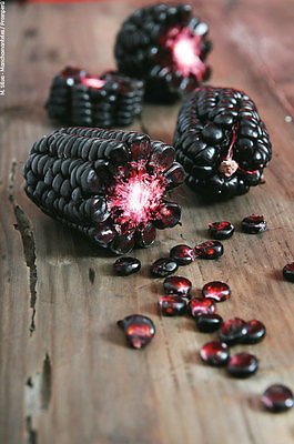 100 Sementi di granoturco da gigante viola