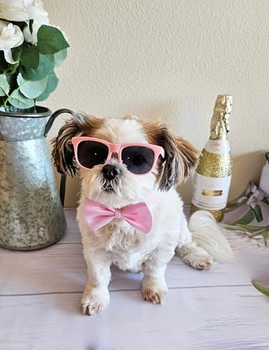 Disfraz para perros pequeño-medio con gafas retro y corbatín miniatura 5
