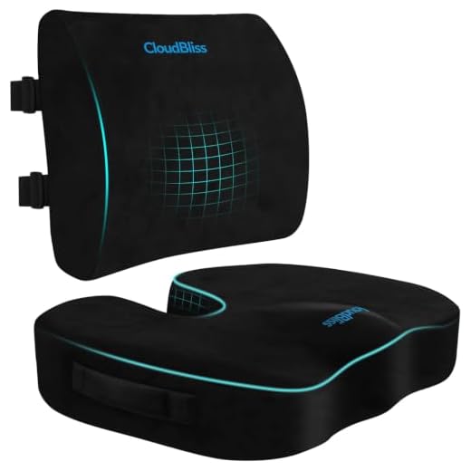 CloudBliss Seat Cushion,Office Chair Cushion,Car Seat Cushion,Lumbar Support Pillow for Office Chair,Back Support Memory Foam Pillow Coccyx Cushion for Tailbone Pain,Sciatica & Back Pain Relief -Black