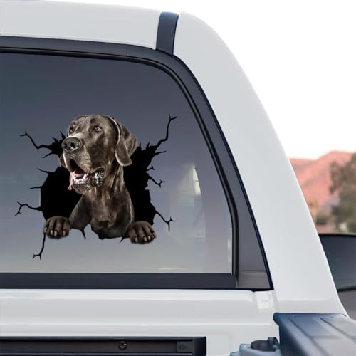 Image of Vinyl Dog Car Decals and Stickers for Women - Great Dane Gift for Dog Lovers