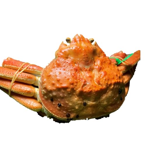 間人漁港仲買人の丸友鮮魚三代目・自慢の間人ガニ≪茹で≫[1匹 700〜800g]