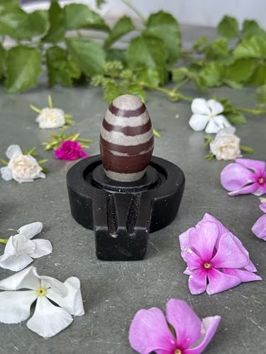 Image of Shivam VASTU AKAL 1.5 inch Original Narmadeshwar Narmada Shivling with 3 inch Narmada Stone Yoni Base Jaladhari (Janeudhari Shivling, Black Flate Jaladhari)