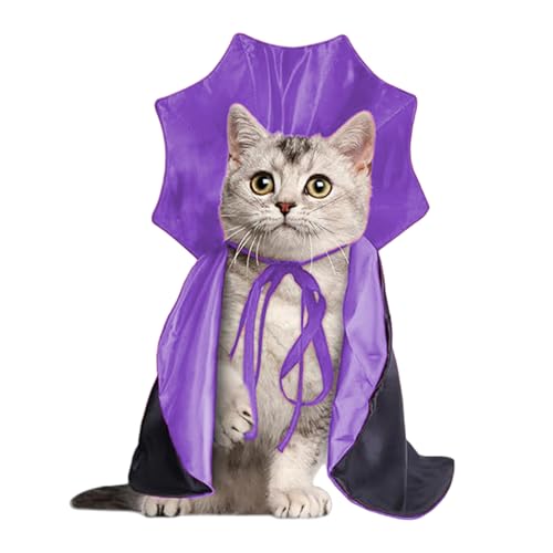 �n���E�B�� �y�b�g�� �R�X�`���[�� �R�X�v�� �� �L�p �n���E�B�� �}���g �y�b�g ���� �P�[�v ���Ԃ���� �z���S ���� �ϐg�� �ʐ^�B�e (�u���b�N+�p�[�v��)