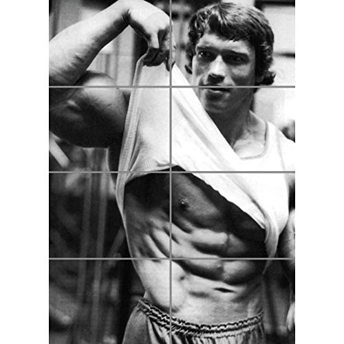 Doppelganger33 LTD Arnold Schwarzenegger Bodybuilder Icon Arte de la Pared Multi Panel de Carteles 33x47 Pulgadas