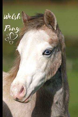  Welsh Pony Notebook: Composition Notebook 6x9\