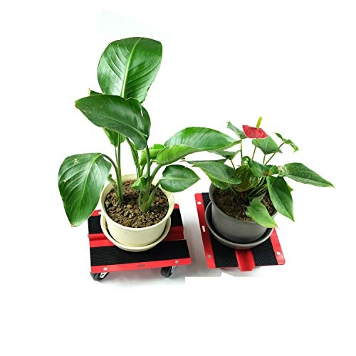 Kastforce Kf2018 Utility Dolly Kit Of Pair 8 Inch X 10 Inch Steel Dollies, Snowmobile Dolly, Panel Dolly, Material Mover #TOP3