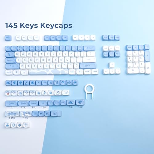OHY Cute Blue Keycaps, XVX 145 Keys Dolphin Theme PBT Dye-Sublimation Custom Keyboard Keycaps Set,75 Percent Keycaps for Cherry Gateron MX Switches/Mac Windows PC Keyboard