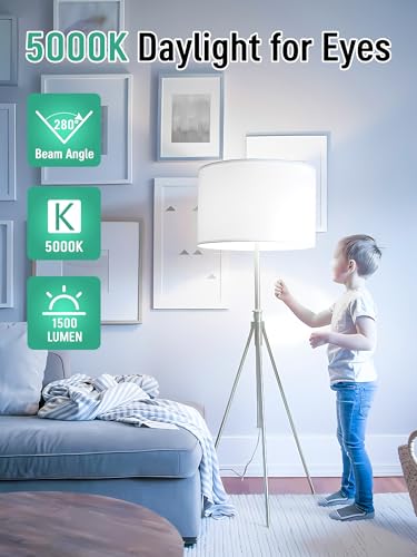 Image of 3 Pack LED Light Bulbs 100 Watt Equivalent, A19 5000K Daylight White | 15W Super Bright White Light 1500 LM, E26 Standard No Flicker Energy Saving Lamp Bulb for Home, Bedroom, Office, Non-Dimmable