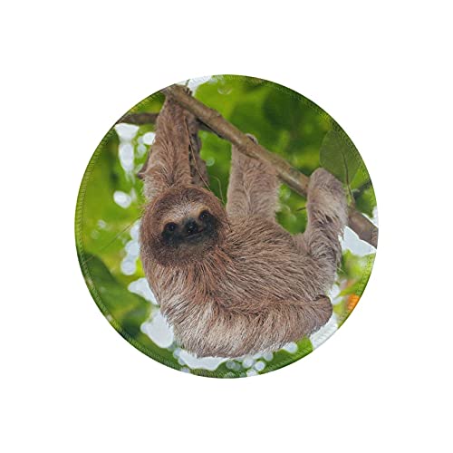 }EXpbh ی^ ӂ  M  h ~ S Q[~O}EXpbh m[gp\R PC Eh}EXpbh fXN}bg ϋvǂ ItBXp rWlXp ƒp Q[p ~` 20cm