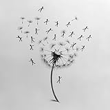 Photo Gallery drifting like dandelion seeds