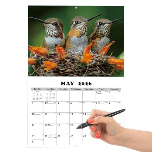 Planificador de pared de pájaro 2026 – Calendario de fotos de colibrí , organizador mensual de gran tamaño, cartel decorativo de vida silvestre, indicador anual de asignación de tiempo para