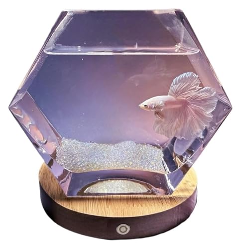 AtBbV{EA x[Xt܊p`KX^rO[fXNgbvi