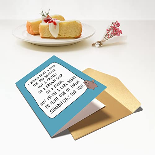 Chenive Funny Brother Birthday Card, Birthday Card For Brother, Bro Bday Greeting Card, I Would Fight A Bear For You Brother Card #TOP4