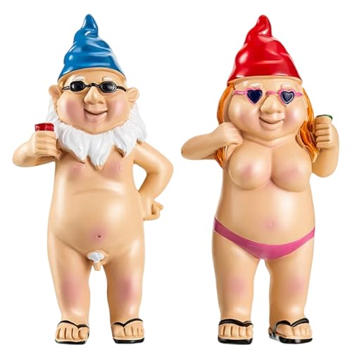 2PCS Garden Gnomes Ornaments-Garden Gnome Statue,Funny Man and Woman Waterproof Resin Dwarf Craft for Lawn Ornaments (Blue)