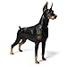 Doberman Pinscher Modello Sculture Cane Domestico Figurina Statua Animale Casa Decorazione Collezione Ornamenti Giocattoli per Bambini Regalo,Nero