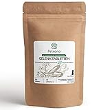 Petsana Gelenktabletten für Hunde - mit Grünlippmuschel, MSM, Teufelskralle, Chondroitin, Glucosamin - Natürliche Inhaltsstoffe - 100 Tabletten Petsana Gelenktabletten für Hunde - mit Grünlippmuschel, MSM, Teufelskralle, Chondroitin, Glucosamin - Natürliche Inhaltsstoffe - 100 Tabletten