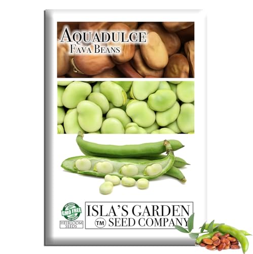 Aquadulce Fava Bean Seeds (Vicia faba) 25 Non-GMO Heirloom Seeds by Islas Garden Seeds Cold-Hardy Broad Bean for Fall and Spring Planting Ideal for Raised Beds & Backyard Gardens