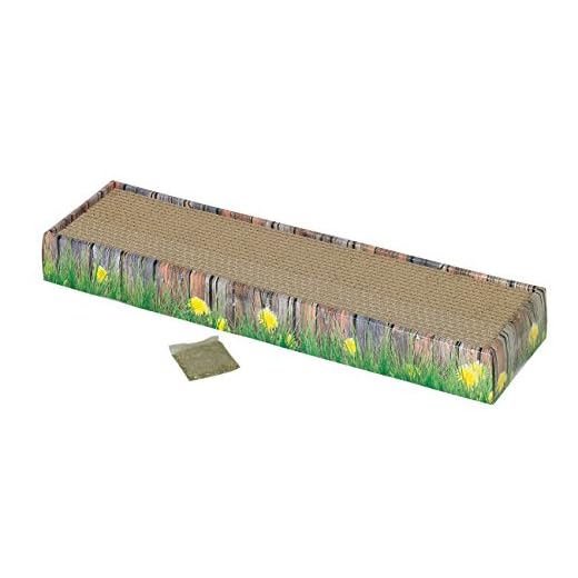 Nobby Grattoir Carton 48 X12,5 X5 cm S