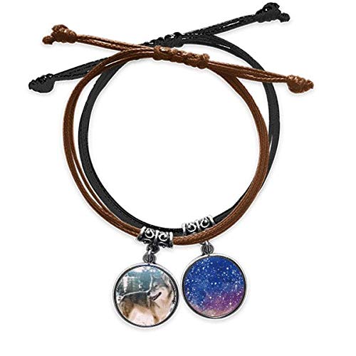 Pulsera de perro de cuerda y cuero para regalar a amigos