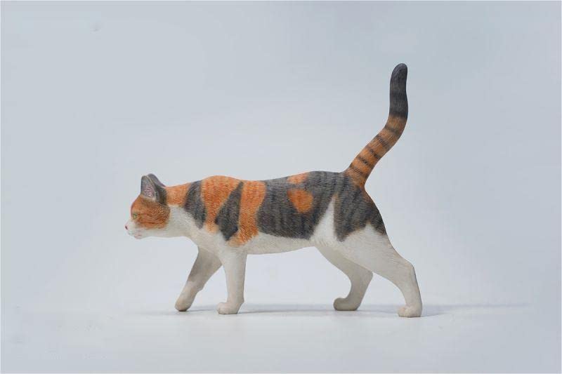 Amazon.co.jp: JxK Studio 1/6 ネコ フィギュア 猫 イエネコ 5種