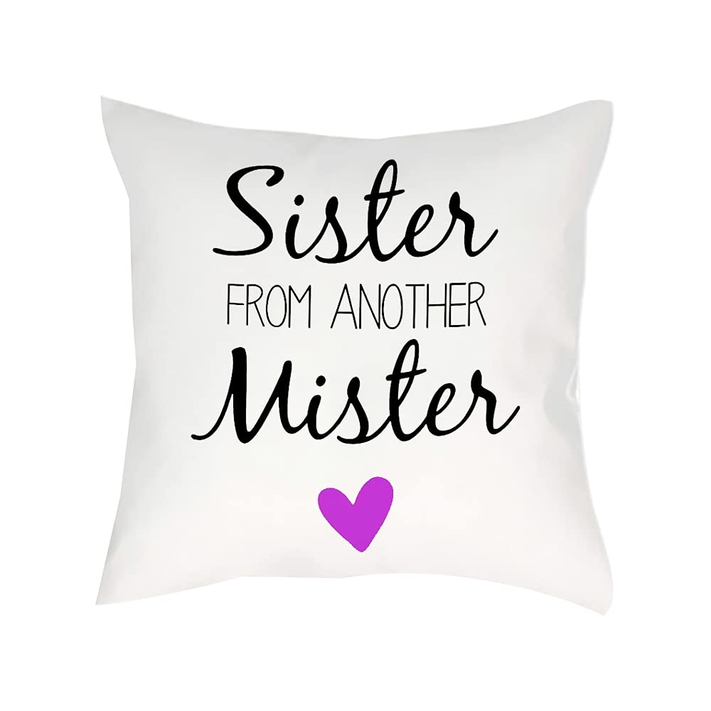 Giftme Satin Cushion Cover With Insert Sister From Another Mister Themed Birthday Gift Home Decor Satin Cushion, Throw Pillow/Cushion. (Satin Cushion Cover With Insert)