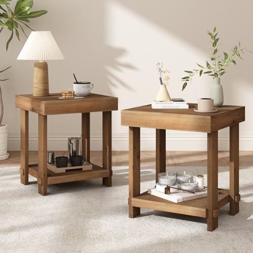 WINWY Solid Wood End Table for Living Room Set of 2-Farmhouse Side Table with 2-Tier Storage, Rustic Square Bedside Tables for Small Spaces, Accent Nightstand for Bedroom, Easy Assembly