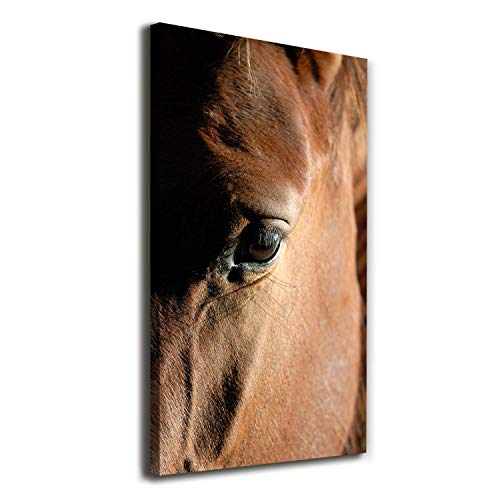Impression sur toile cheval Tulup 60x120 cm décoration murale en brun